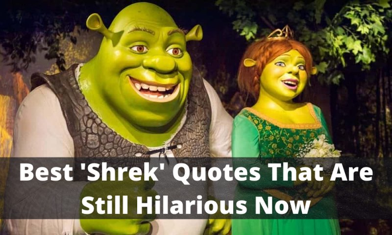 Best Shrek Quotes That Are Still Hilarious Now - vrogue.co